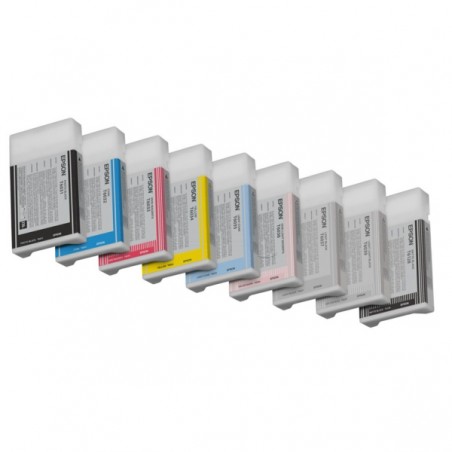 Epson  (T6031) Original Ink cartridge foto black (C13T603100)